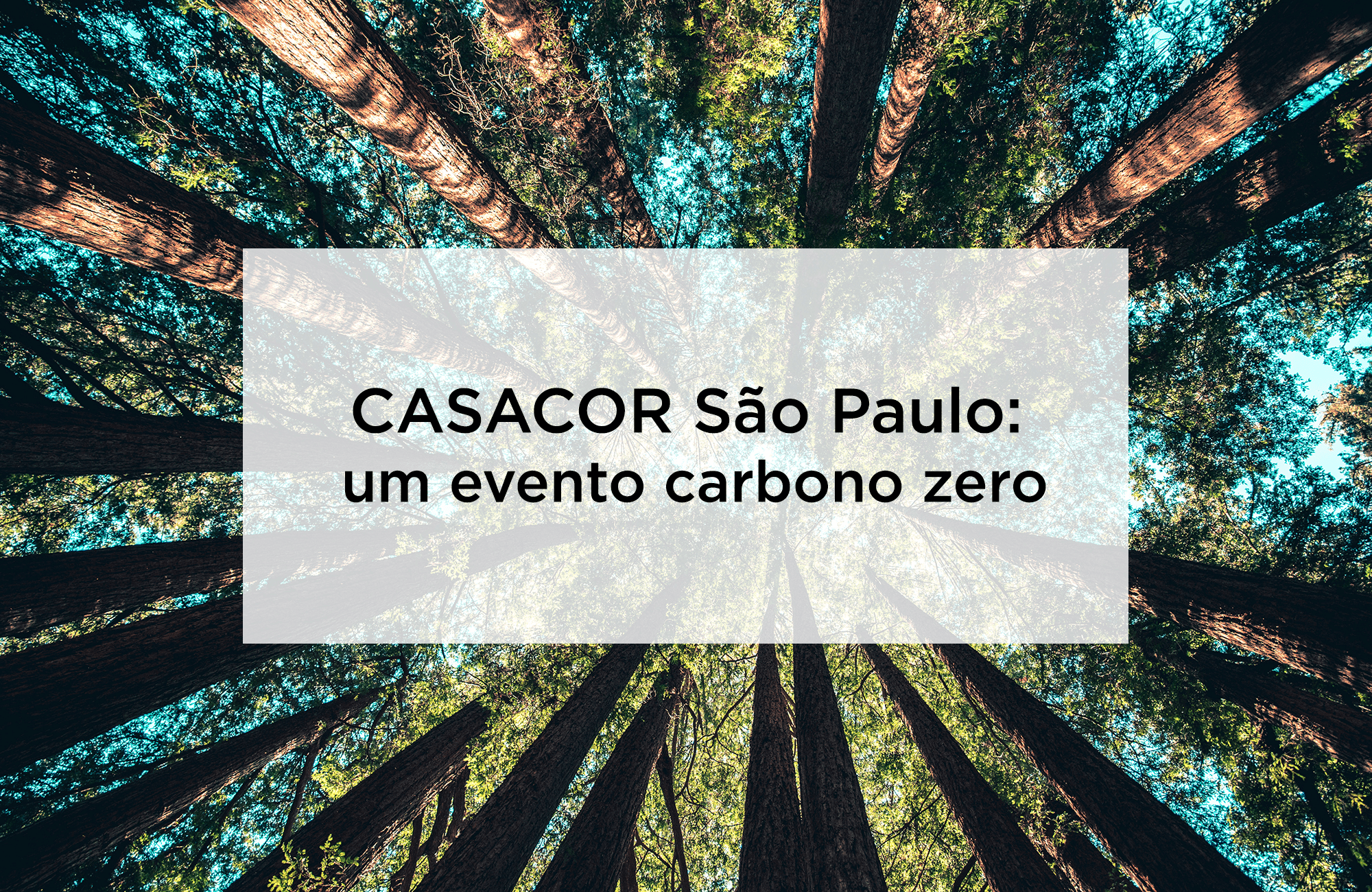 CASACOR São Paulo é neutra em carbono desde 2019