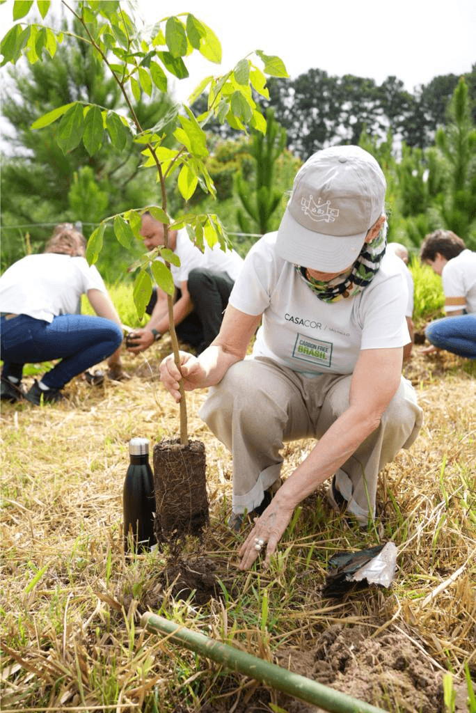 Equipe da CASACOR participa de plantio conduzido pela Carbon Free Brasil.